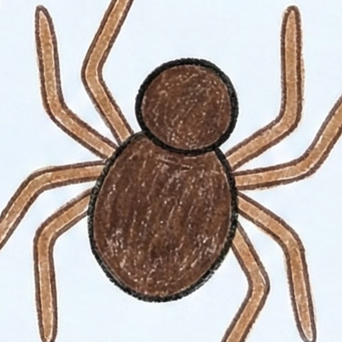 Spider Simple Draw Simple Spider: An Easy Sketch for Quiet, Creative Moments