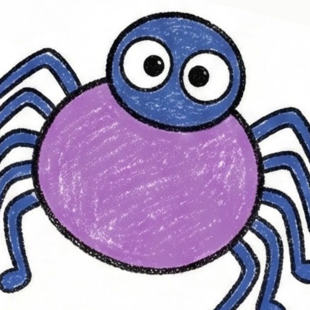 Spider Simple Easy Realistic Spider Drawing Step-by-Step Guide