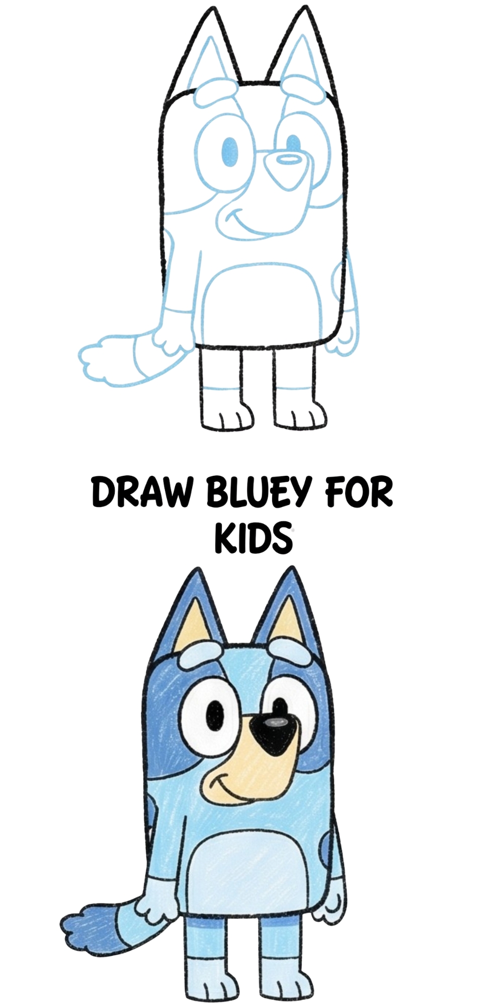 How to Draw Bluey for Kids: A Fun and Easy Step-by-Step