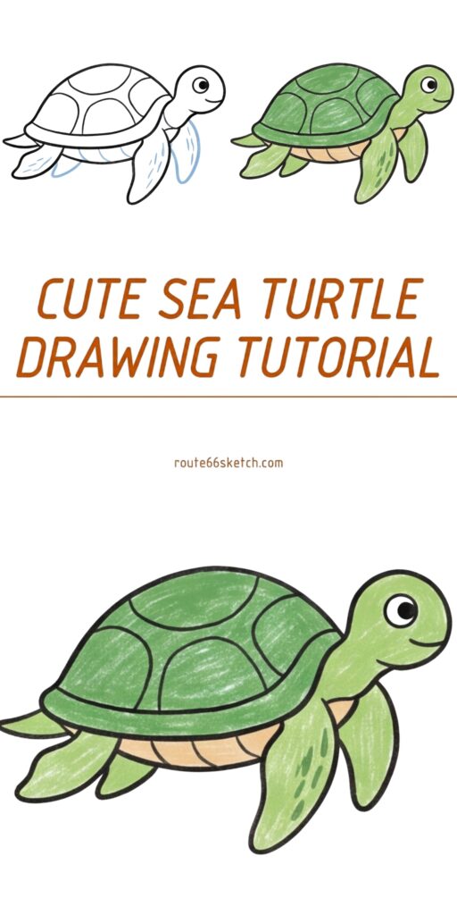 How to Draw a Cute Sea Turtle Step by Step